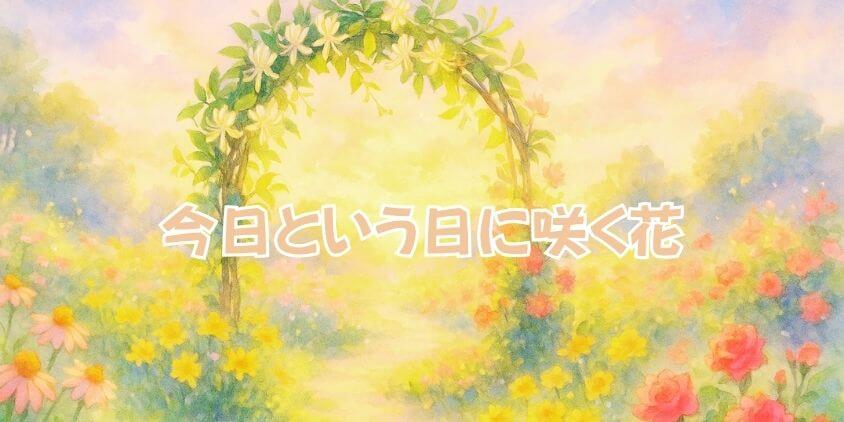 「今日の誕生日の花」は何ですか？ 花言葉で知る特別な意味