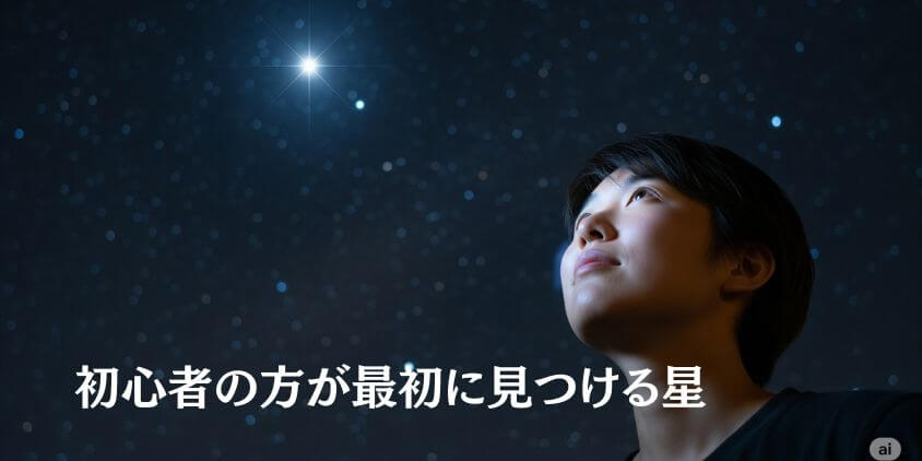 夏の夜空で最も観察しやすい恒星の一つ